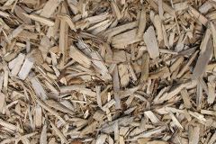 biomass boilers Stroul